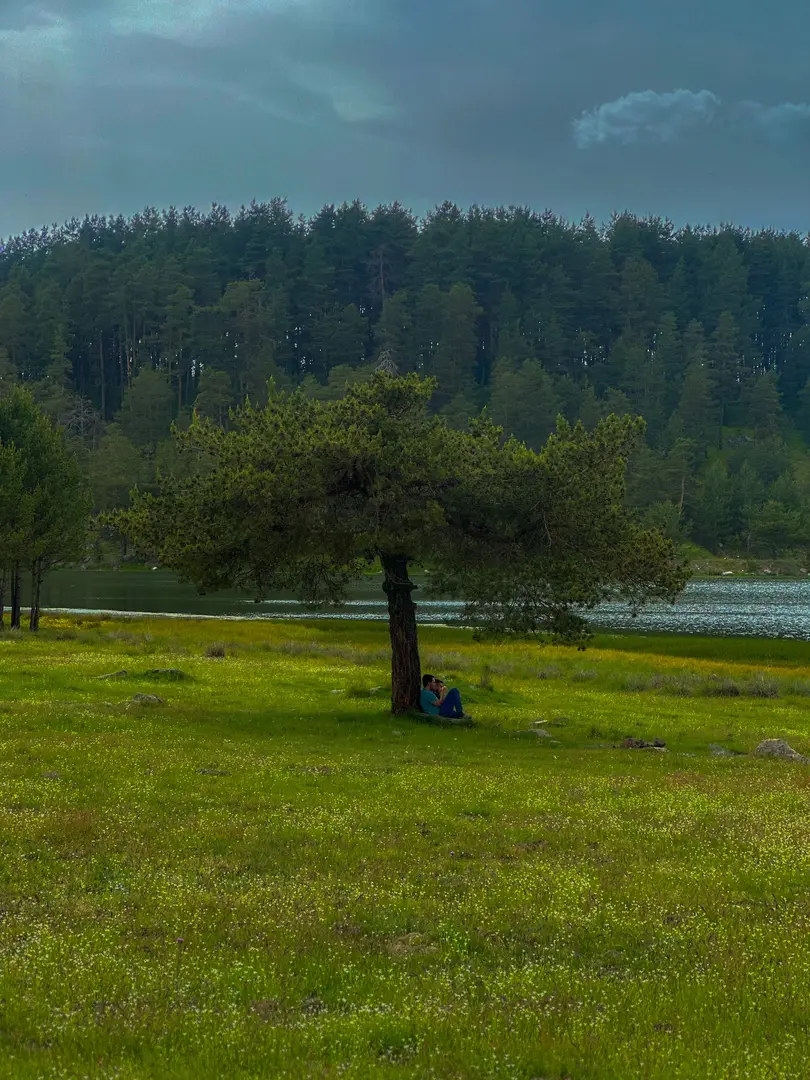 Aladağ Youth Camp — Bolu — küçük resim 3