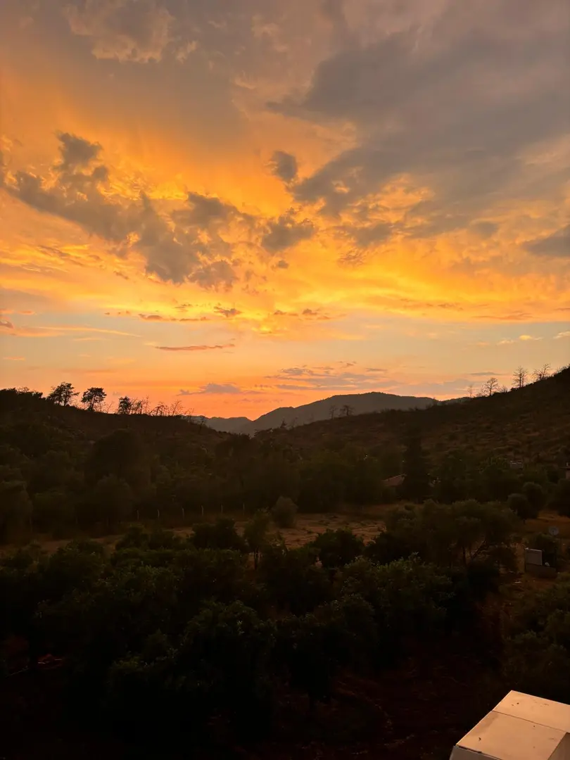 Yeşilçam Karavan Bahçe — Muğla — küçük resim 7