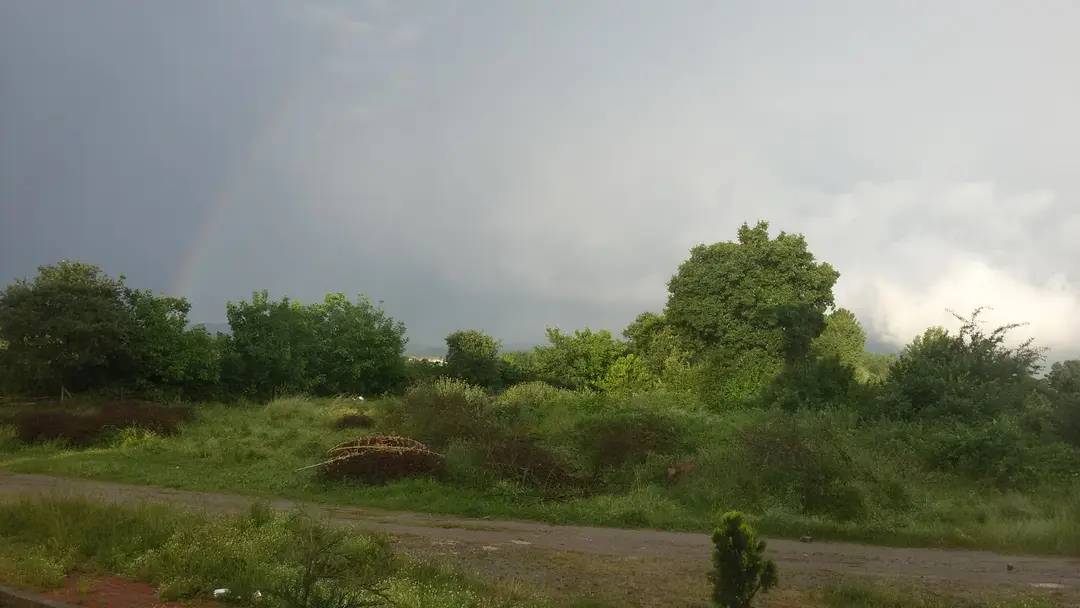 Düzce