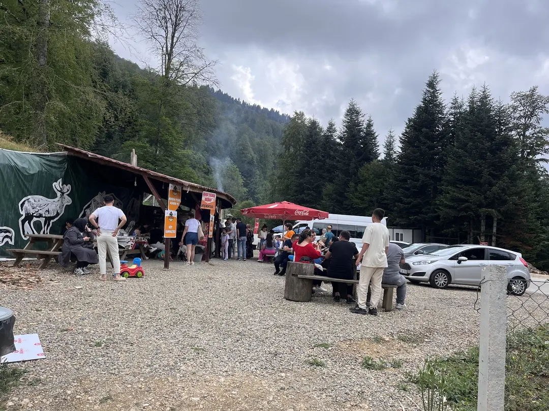 Yedigöller Ayıkayasısı Nature Park-Çadırlı Camping and Caravan Area- Fire Picnic Area — Bolu — küçük resim 9