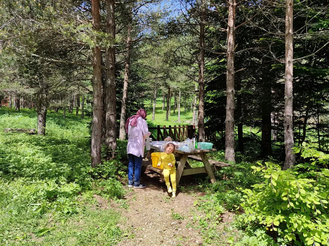 Yedigöller Ayıkayasısı Nature Park-Çadırlı Camping and Caravan Area- Fire Picnic Area — Bolu — küçük resim 4
