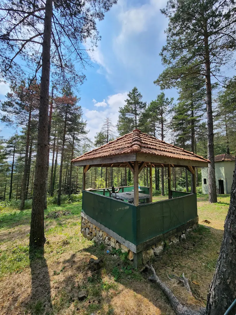 Çorak Mesire Alani and Camping — Sakarya — küçük resim 7