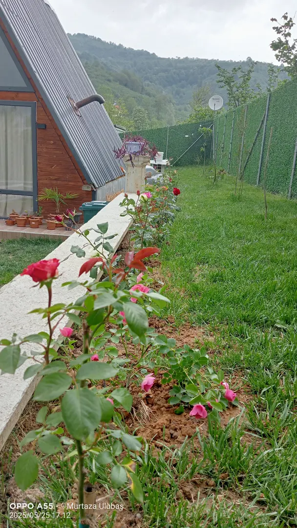 Düzce Beyza Bungalov — Düzce — küçük resim 9