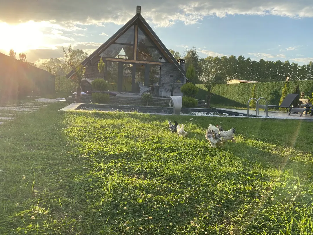 Masal Bungalov Düzce — Düzce — küçük resim 3