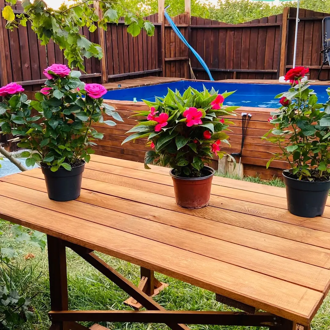 Moonrock Düzce Bungalov Evleri — Düzce — küçük resim 3