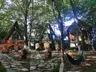 Wolf Garden