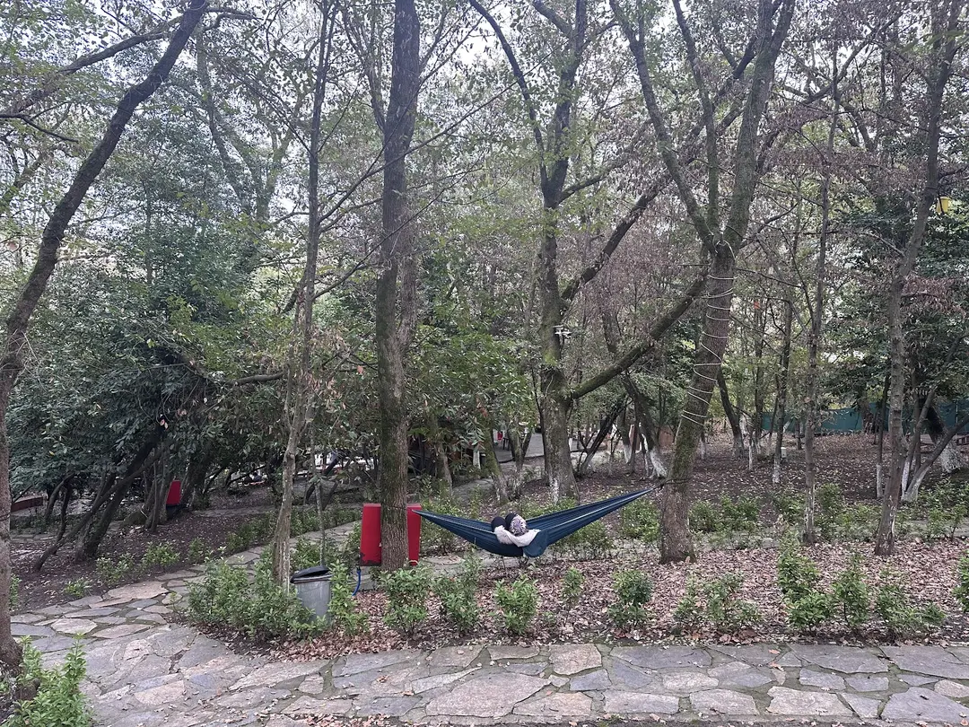 Wolf Garden — Düzce — küçük resim 7