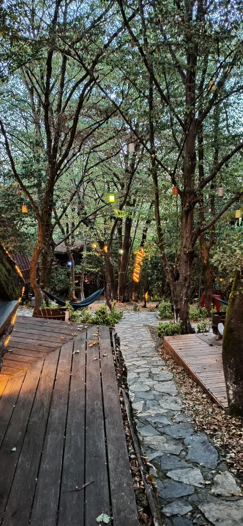 Wolf Garden — Düzce — küçük resim 10