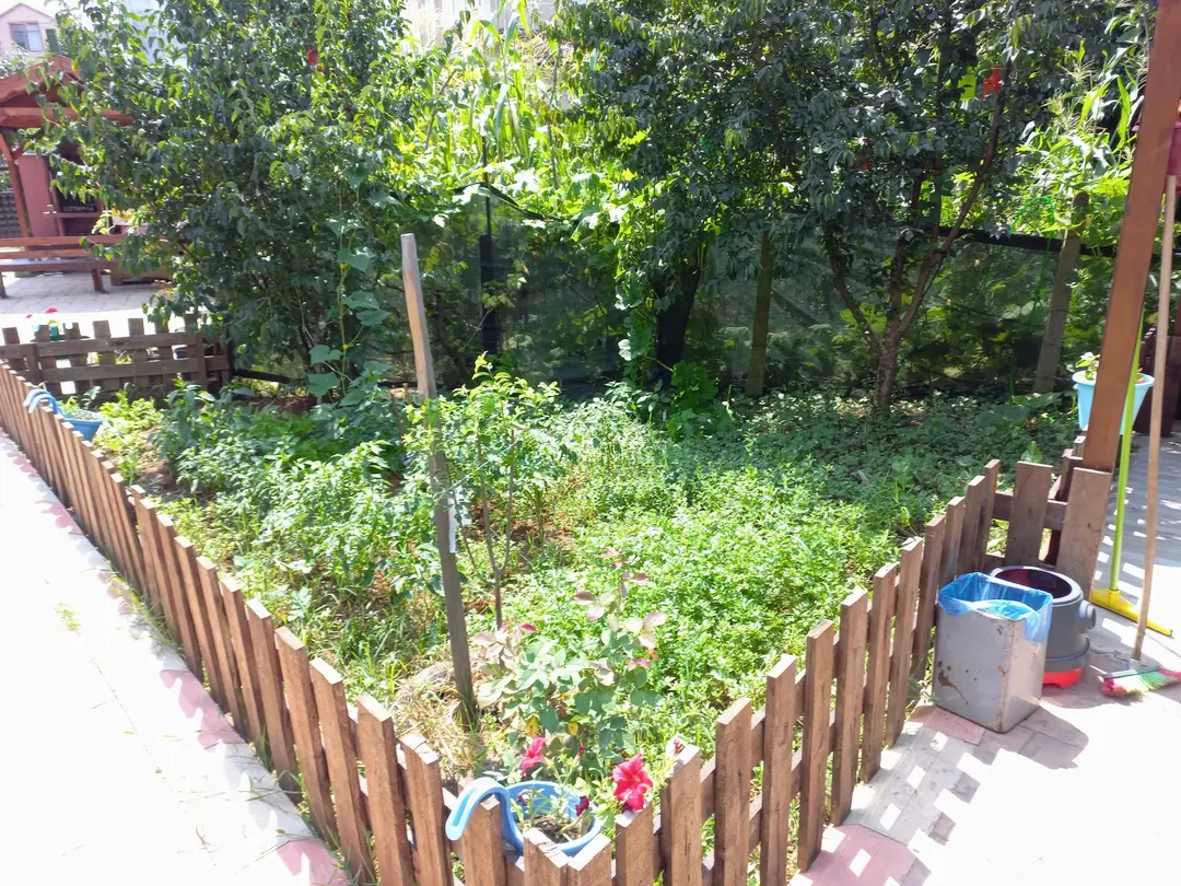 Garden House Akçakoca Bungalov Evleri — Düzce — küçük resim 8