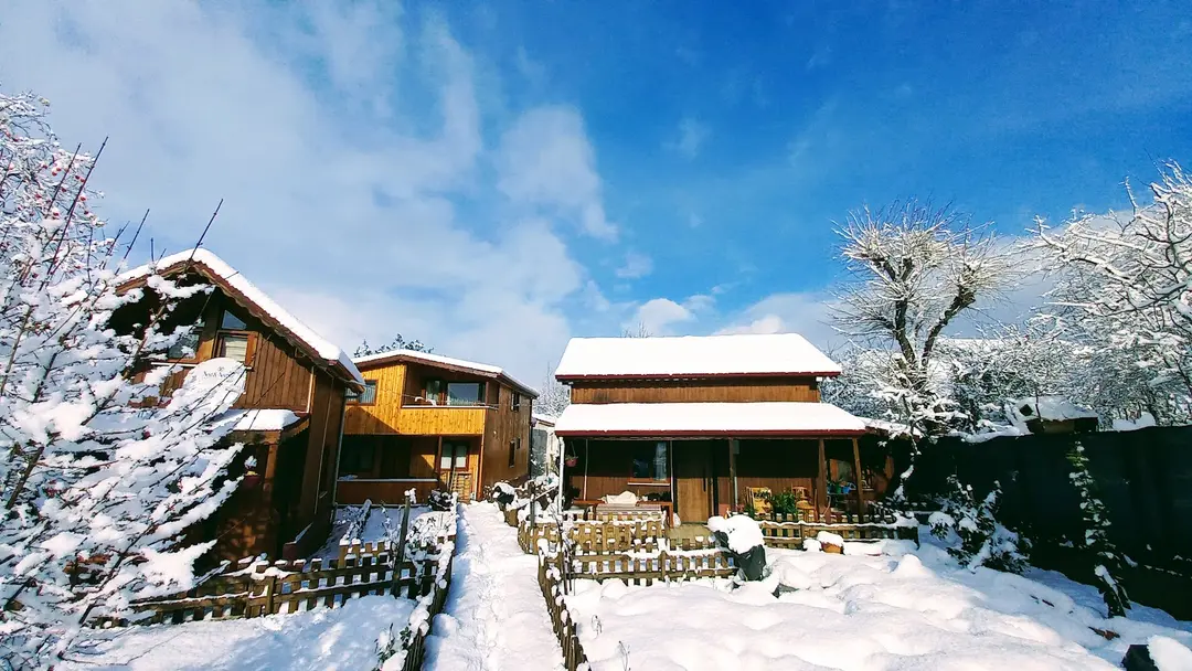 Garden House Akçakoca Bungalov Evleri — Düzce — küçük resim 5