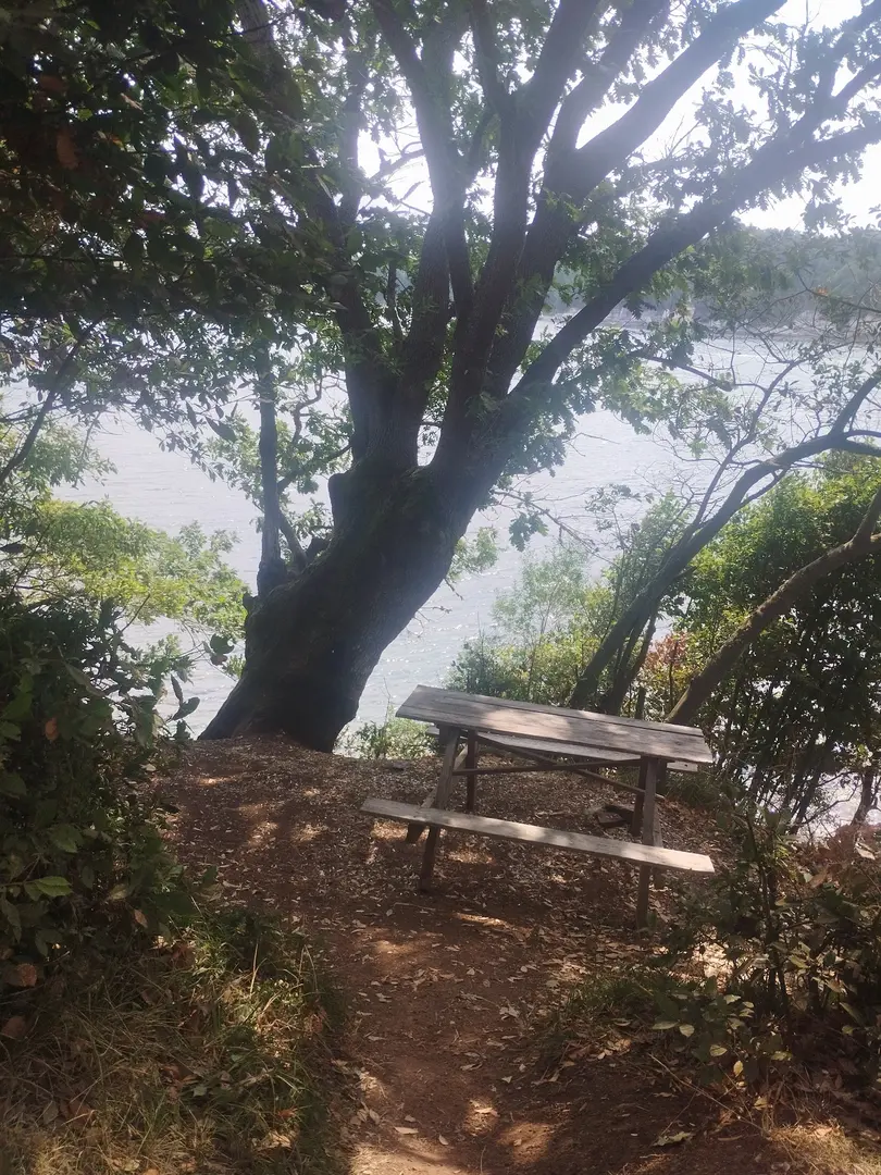 Ömerazı Koyu Camping Area — Kocaeli — küçük resim 7