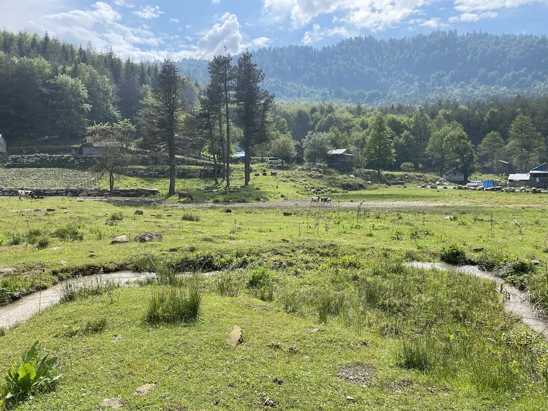 Bölüklü Yaylası — Zonguldak — küçük resim 4
