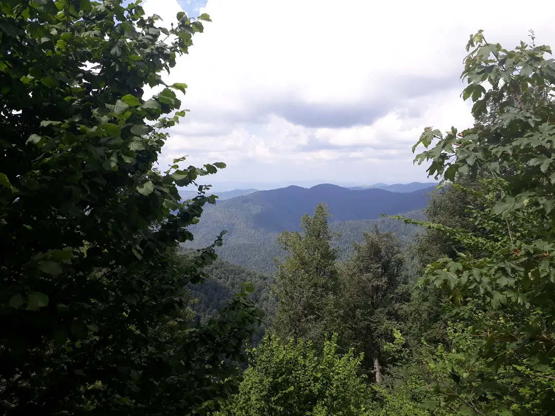 Bölüklü Yaylası — Zonguldak — küçük resim 2