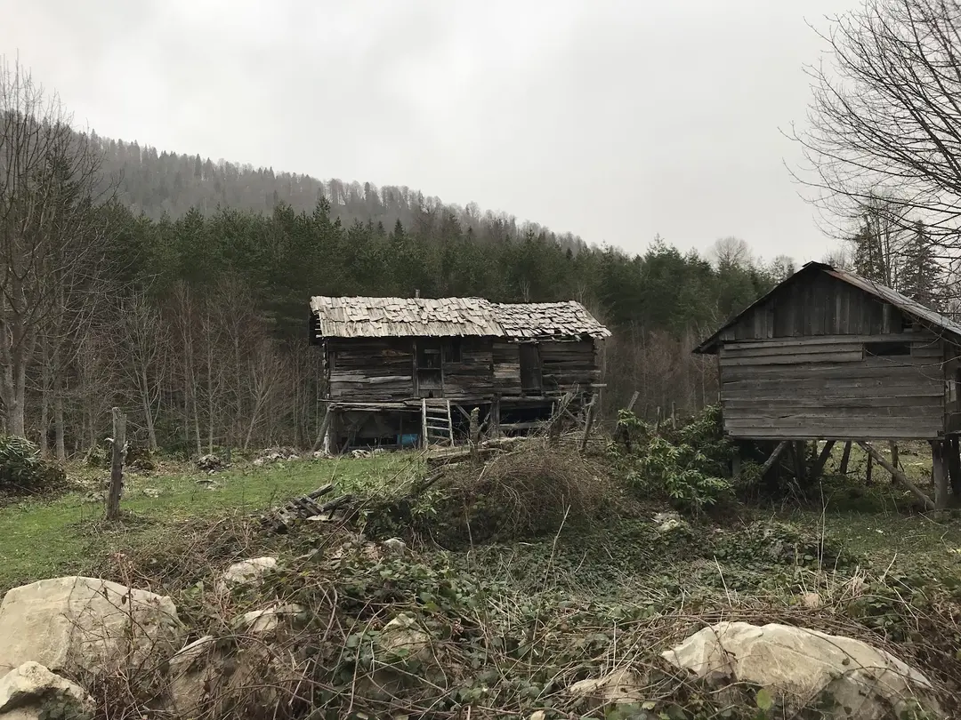 Alaplı