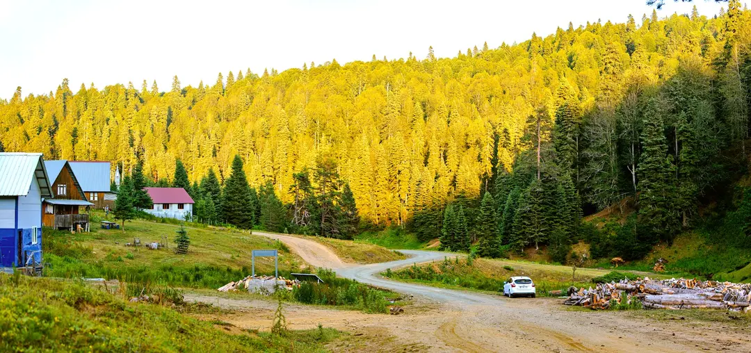 Balıklı Yayla — Bolu — küçük resim 7