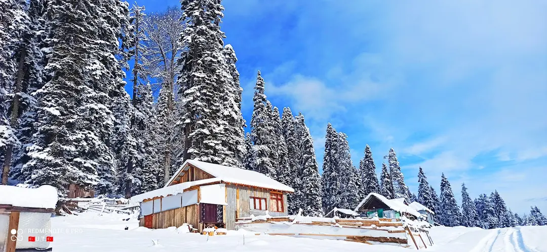 Balıklı Yayla — Bolu — küçük resim 6