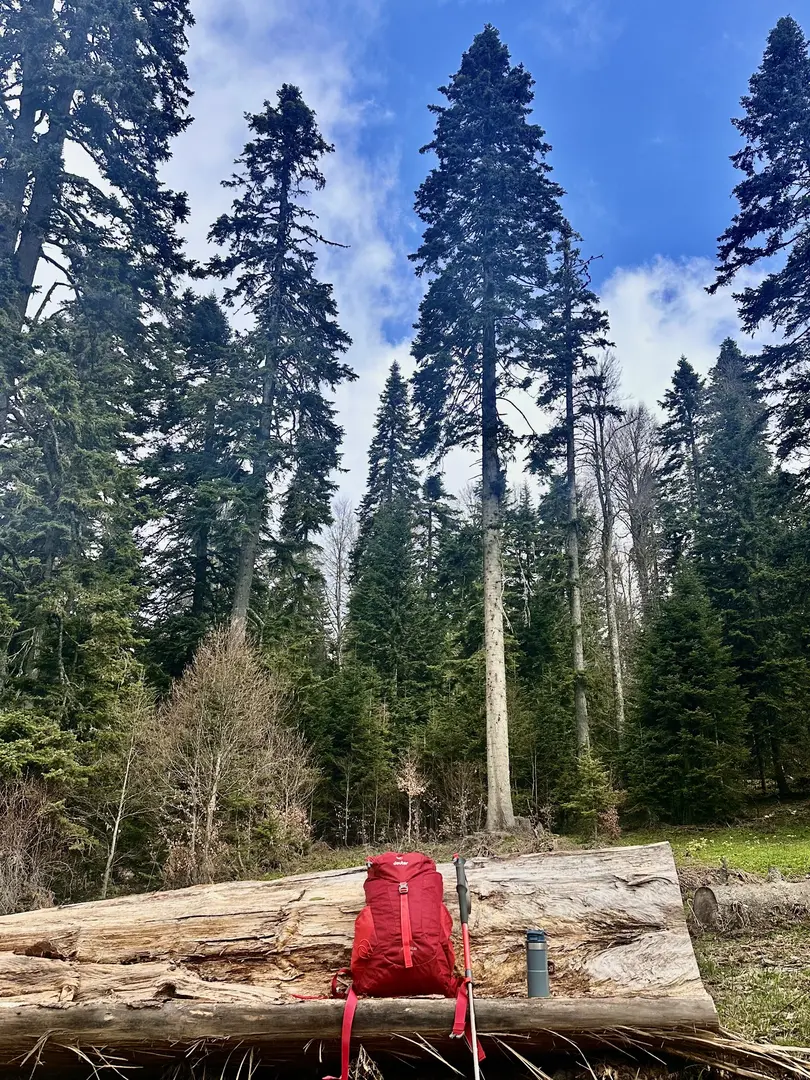Balıklı Yayla — Bolu — küçük resim 8