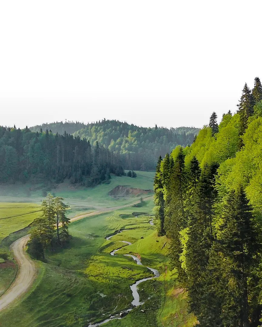 Balıklı Yayla