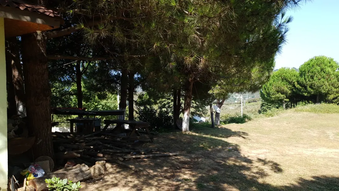 Hemşin Recreation Area — Düzce — küçük resim 10