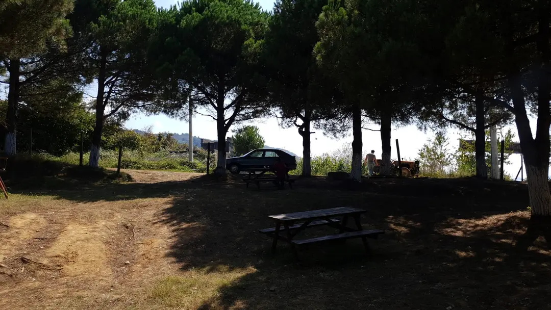 Hemşin Recreation Area — Düzce — küçük resim 9