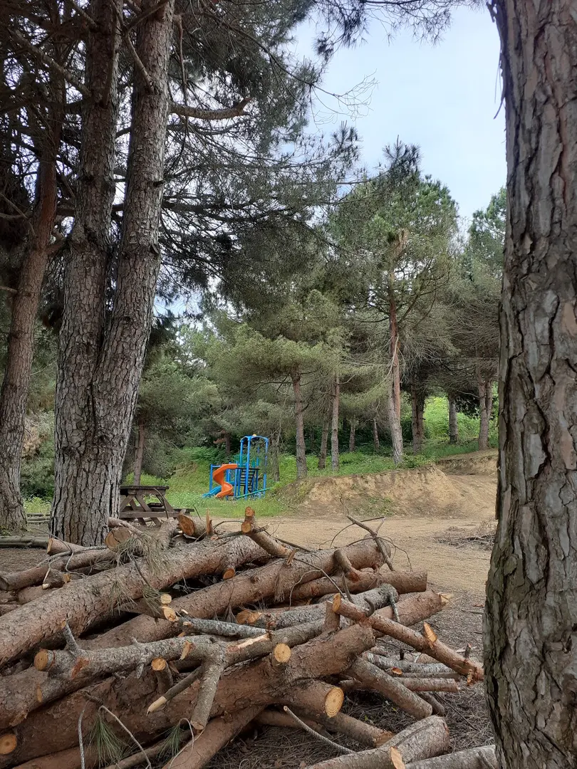 Hemşin Recreation Area — Düzce — küçük resim 2