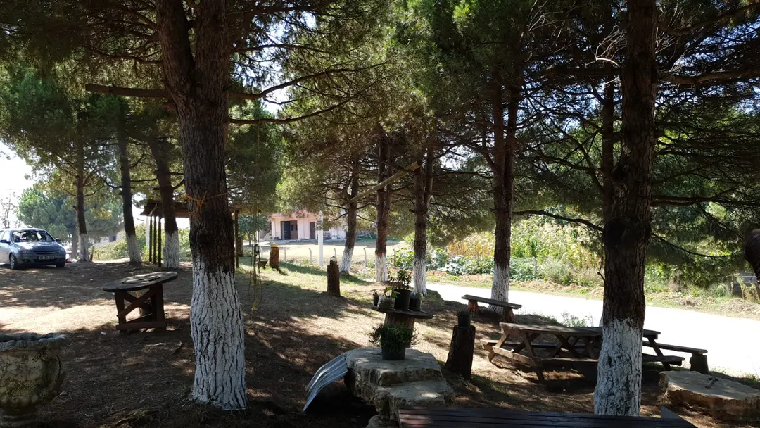 Hemşin Recreation Area — Düzce — küçük resim 7