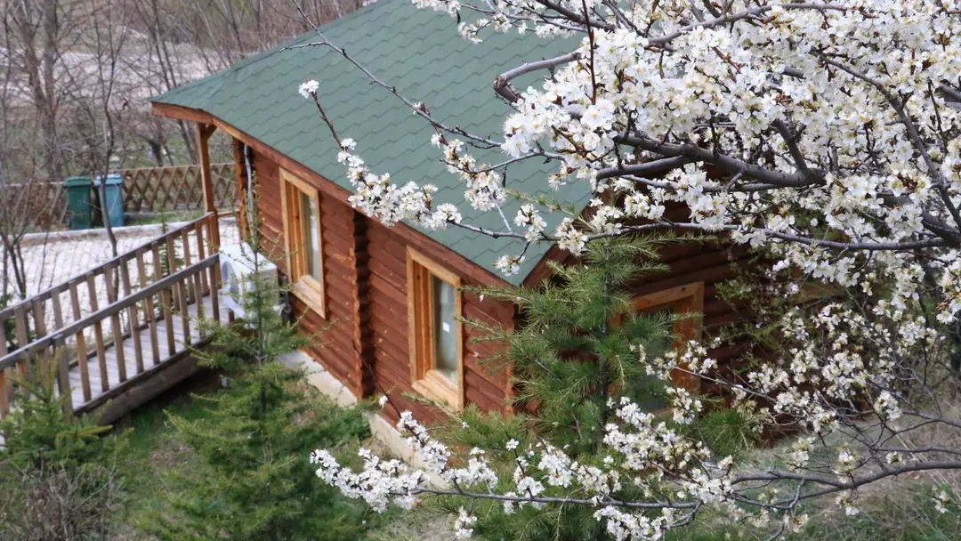 OBA KÜTÜK EVLERİ — Bolu — küçük resim 3