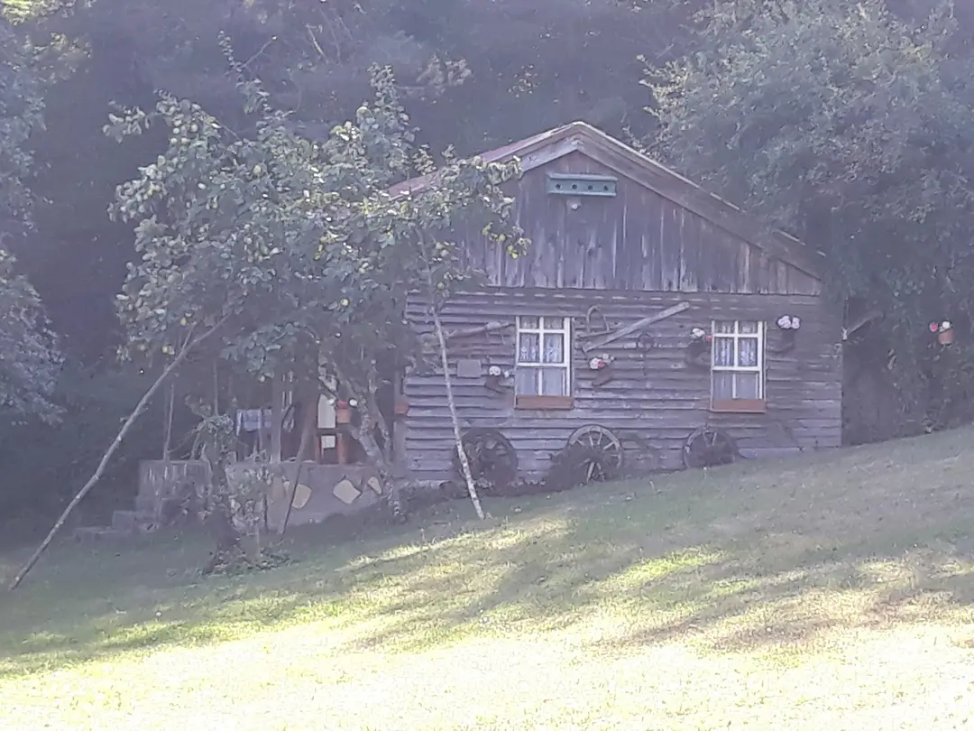 Abnara(Yaban Orman) — Düzce — küçük resim 5