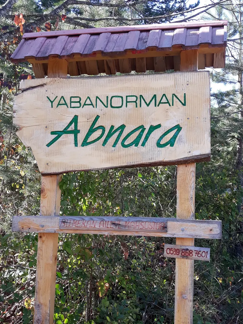 Abnara(Yaban Orman) — Düzce — küçük resim 3