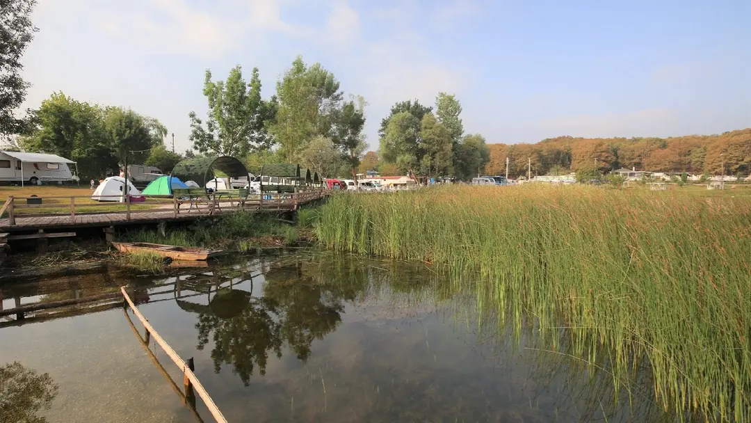POYRAZLAR CARAVAN CAMPİNG — Sakarya — küçük resim 3