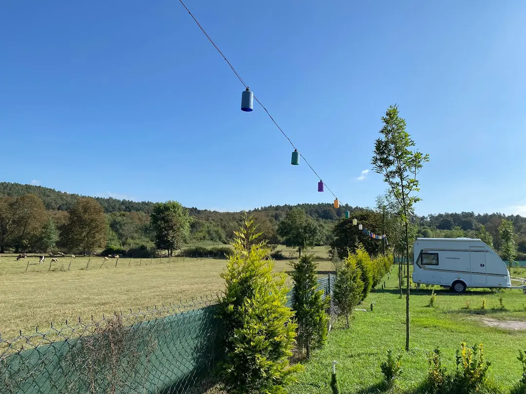 Forest Lake Caravan Camping — Sakarya — küçük resim 9