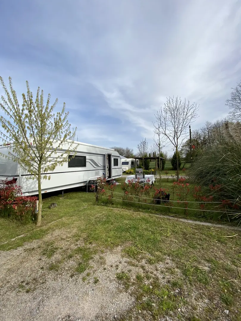 Forest Lake Caravan Camping