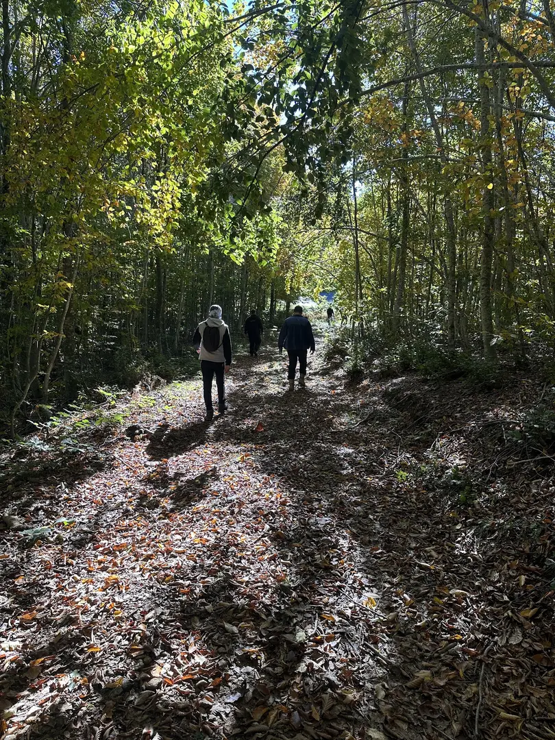 İnönü Yaylası Camping Area — Sakarya — küçük resim 6