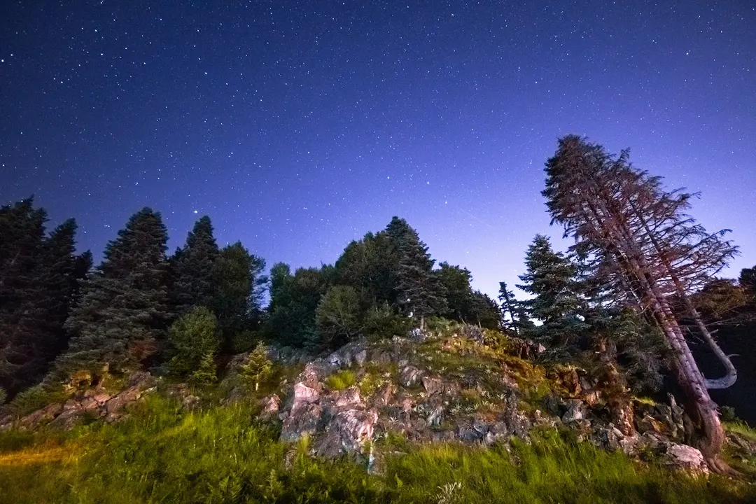 İnönü Yaylası Camping Area — Sakarya — küçük resim 9