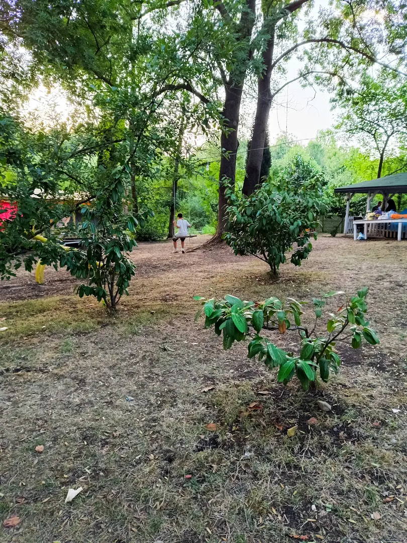Gölbaşı Aile Piknik ve Kamp Alanı — Sakarya — küçük resim 4