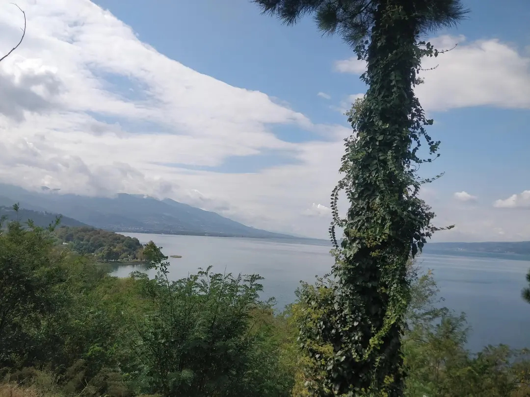 Sakarya Il Ormani Tabiat Parki Kampi — Sakarya — küçük resim 8