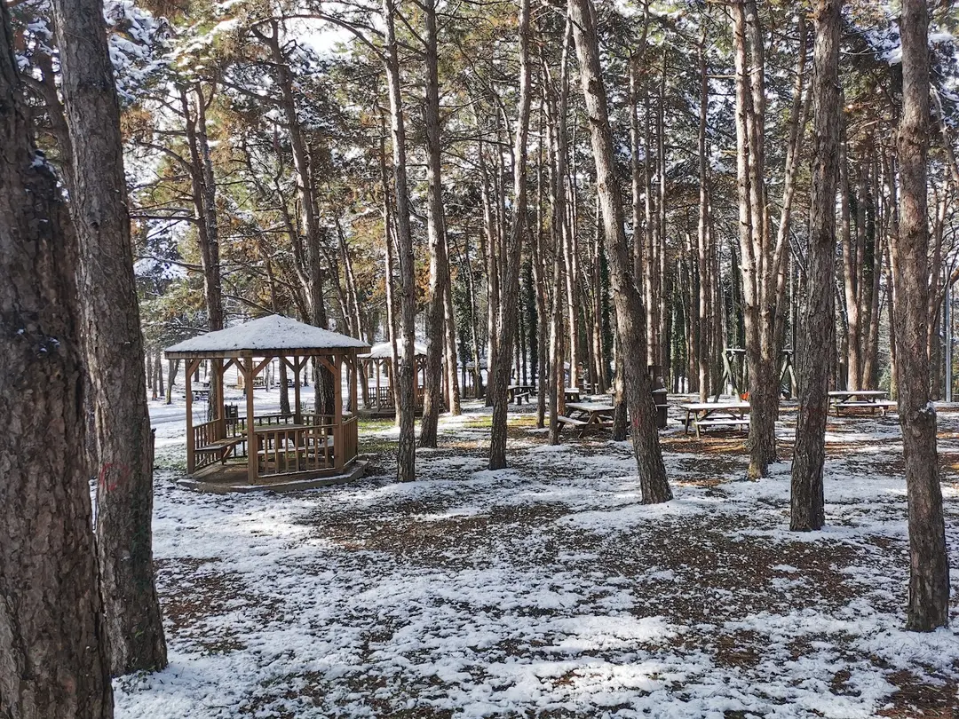 Sakarya Il Ormani Tabiat Parki Kampi — Sakarya — küçük resim 2