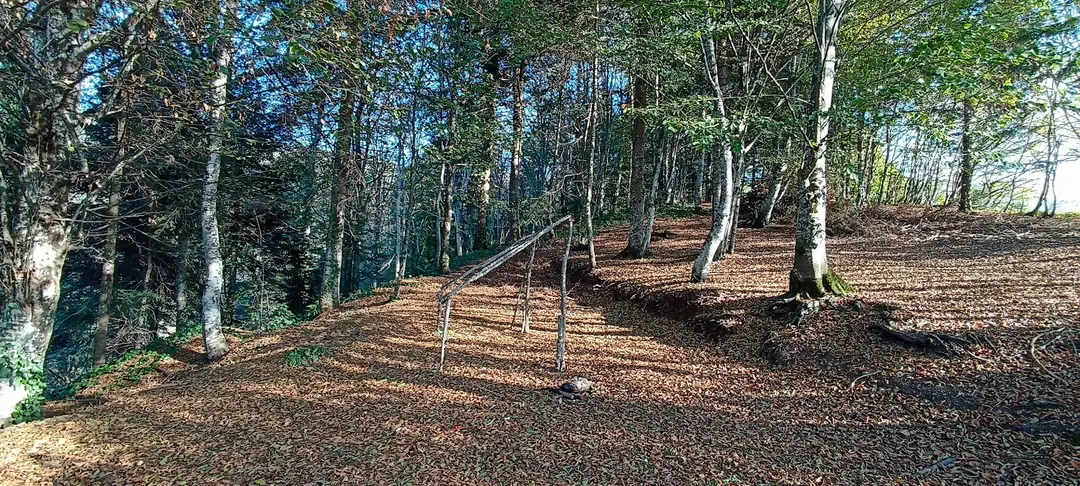 Çam dağı kamp karavan parkı — Sakarya — küçük resim 3
