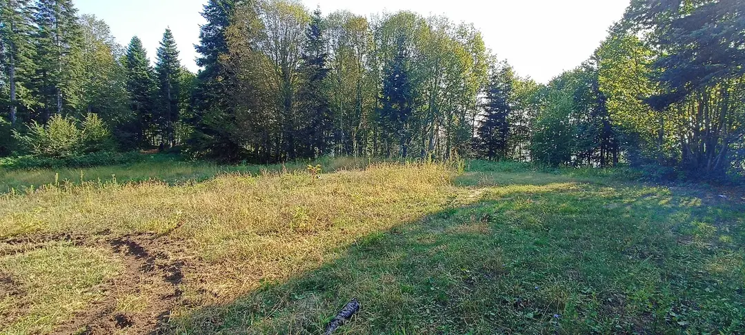 Çam dağı kamp karavan parkı — Sakarya — küçük resim 10