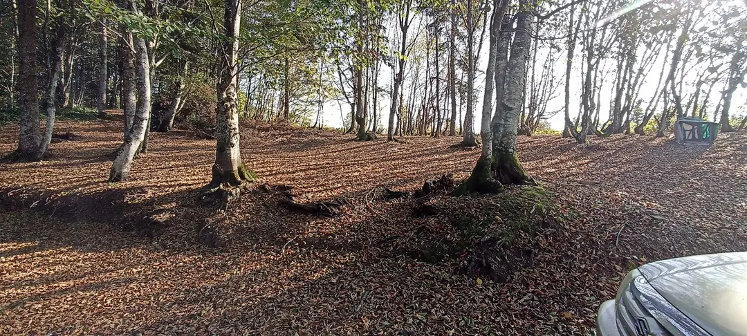 Çam dağı kamp karavan parkı — Sakarya — küçük resim 6