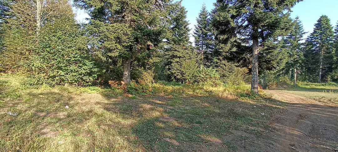 Çam dağı kamp karavan parkı — Sakarya — küçük resim 9
