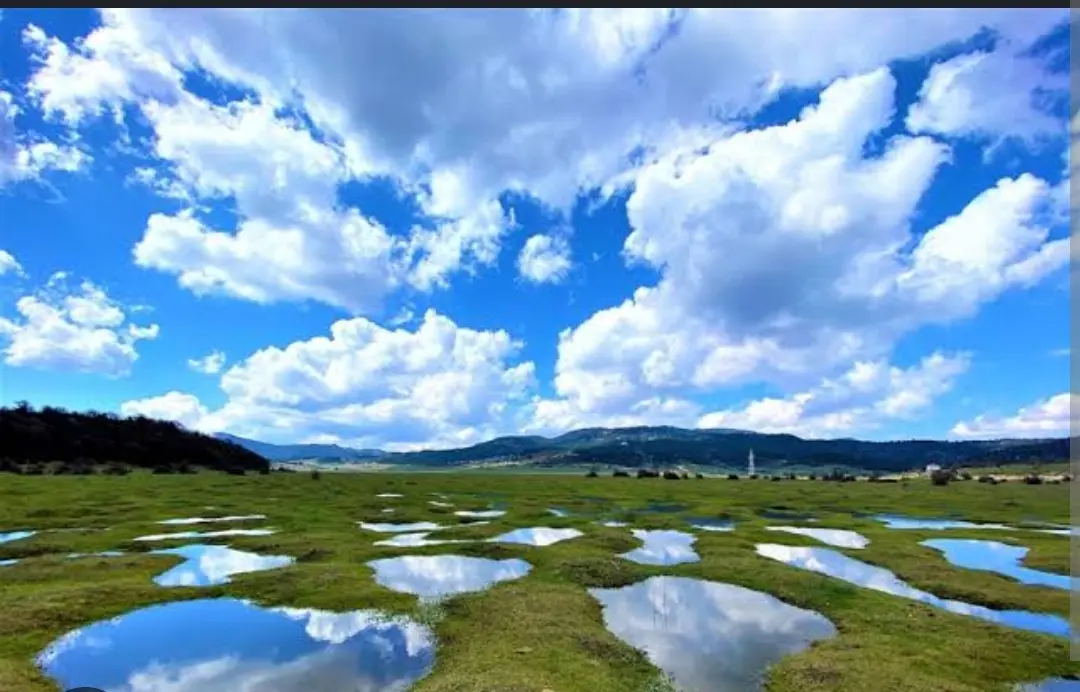 Karagöl Yaylası — Sakarya — küçük resim 8