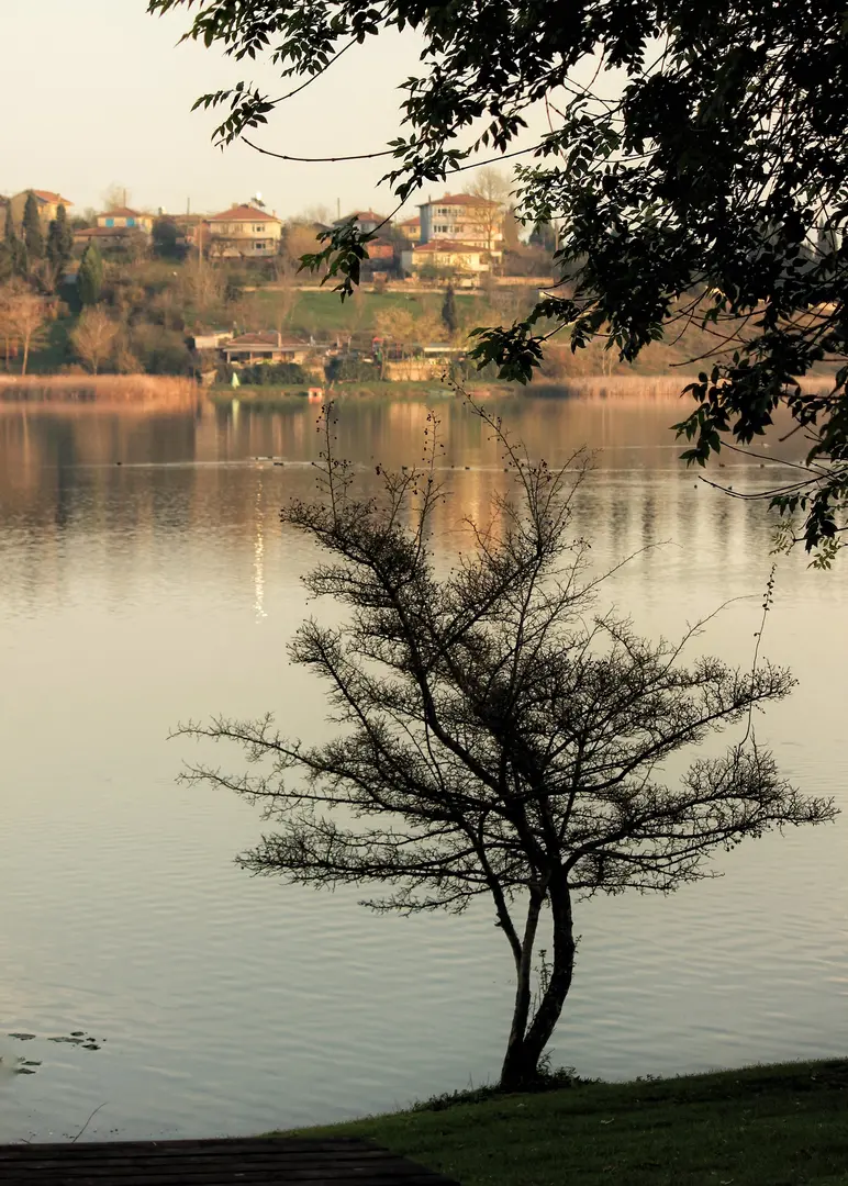 Poyrazlar Gölü Tabiat Parkı — Sakarya — küçük resim 7