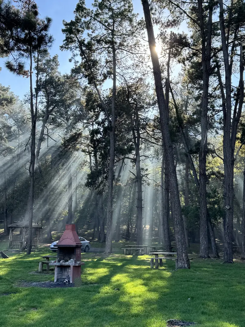 Poyrazlar Gölü Tabiat Parkı — Sakarya — küçük resim 3