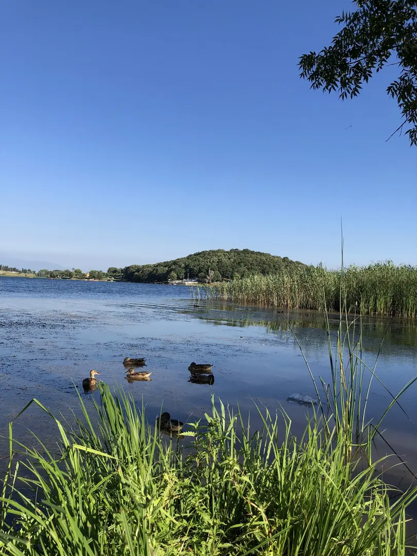 Poyrazlar Gölü Tabiat Parkı — Sakarya — küçük resim 5