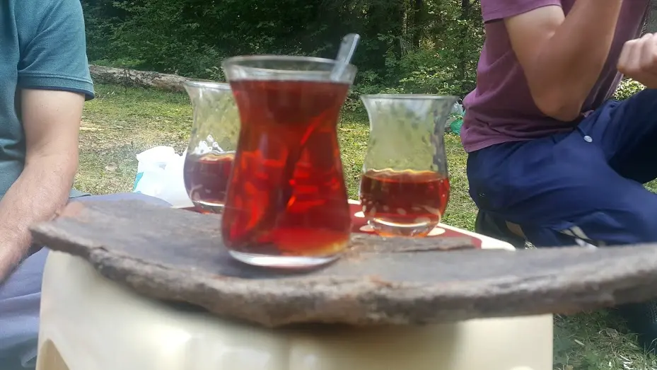 Yongalık kamping — Sakarya — küçük resim 5