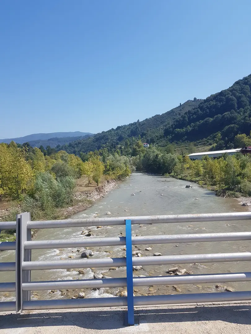 Yongalık kamping — Sakarya — küçük resim 8
