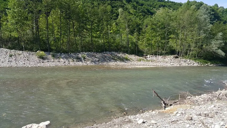 Yongalık kamping — Sakarya — küçük resim 2