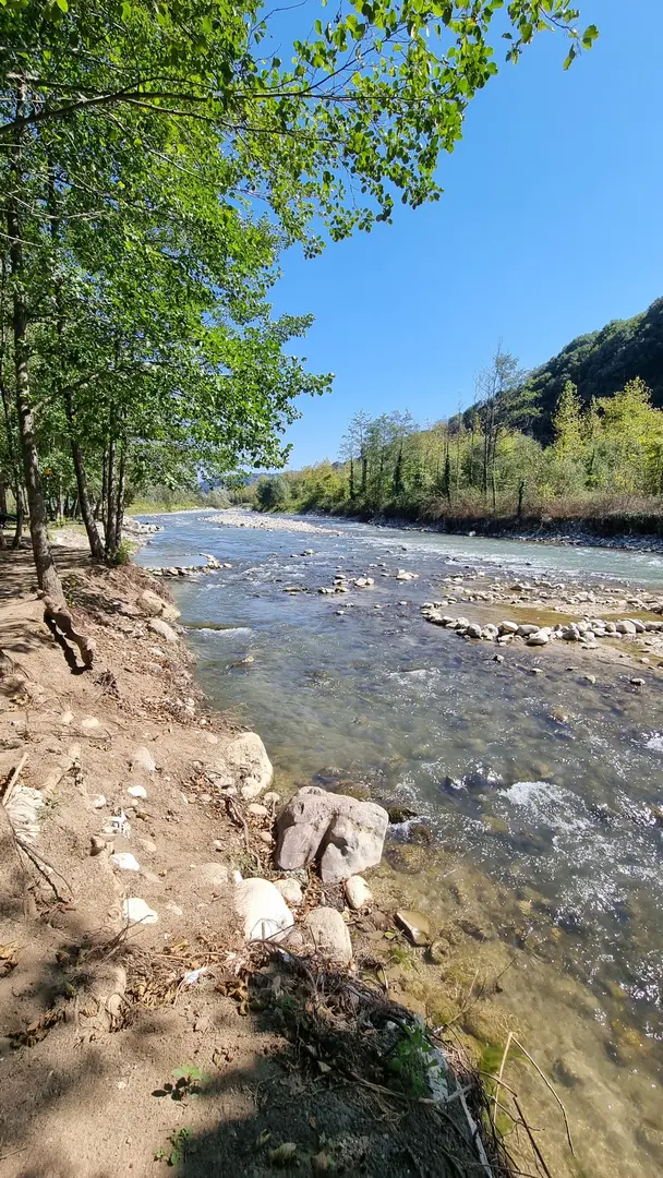 Yongalık kamping — Sakarya — küçük resim 9