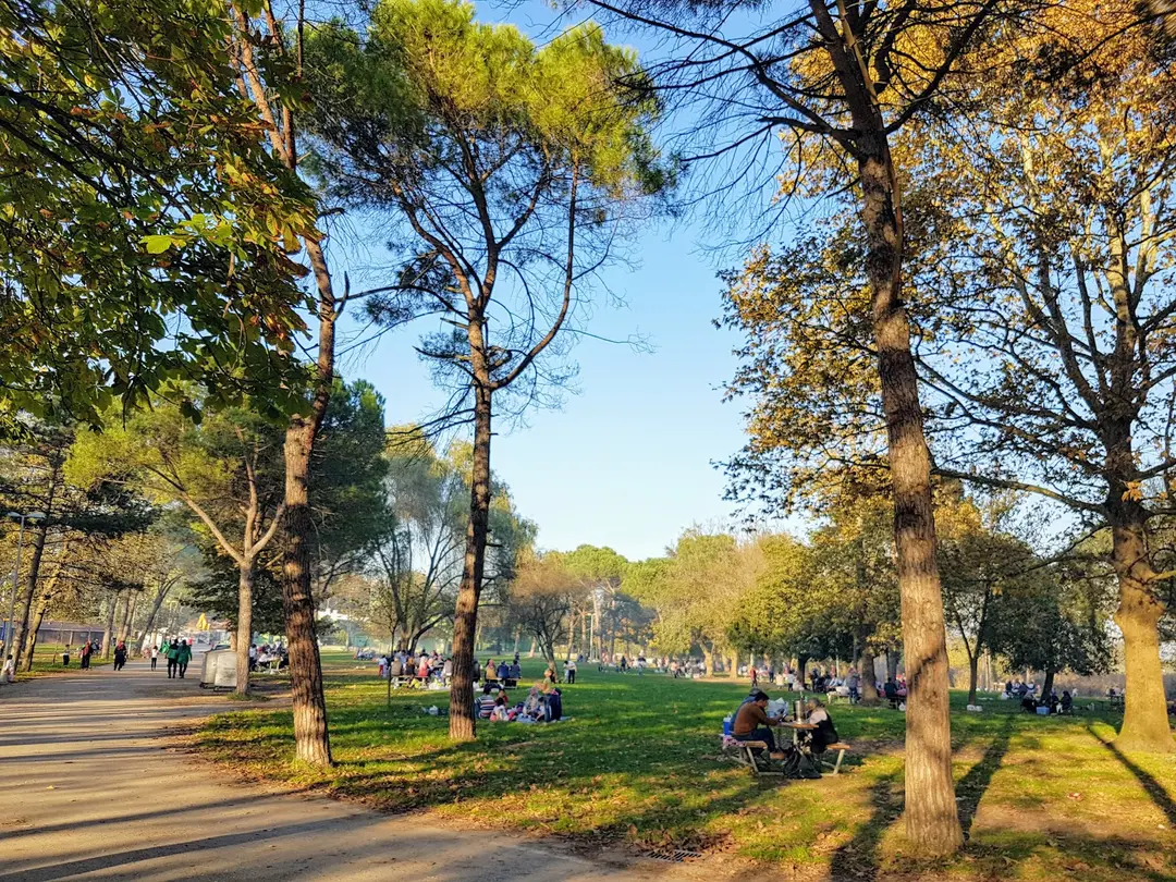 Seka kamp piknik alanı — Kocaeli — küçük resim 2